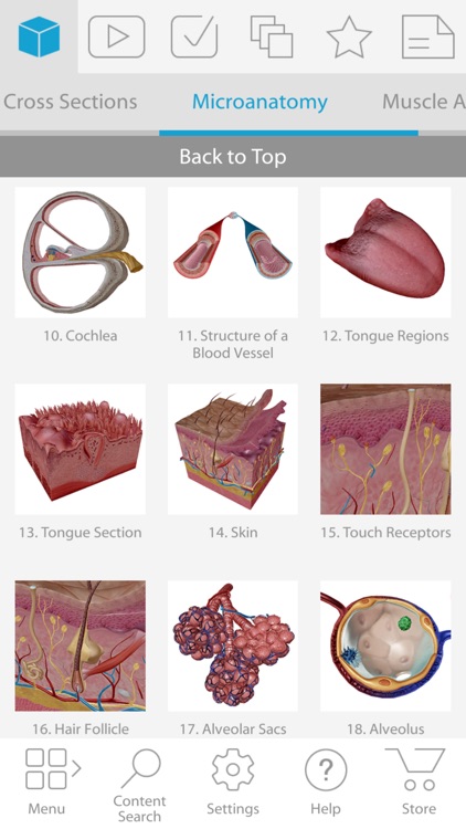 Human Anatomy Atlas 2018 - Complete 3D Human Body