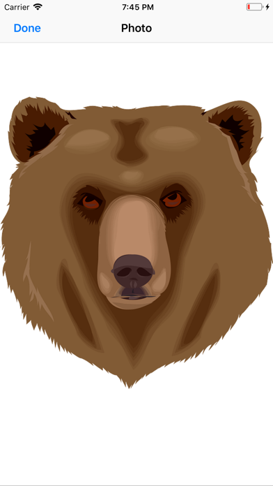 Bear Stickers screenshot 3