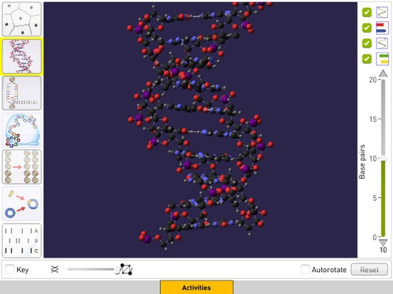 DNA from Sunflower Learning screenshot 2