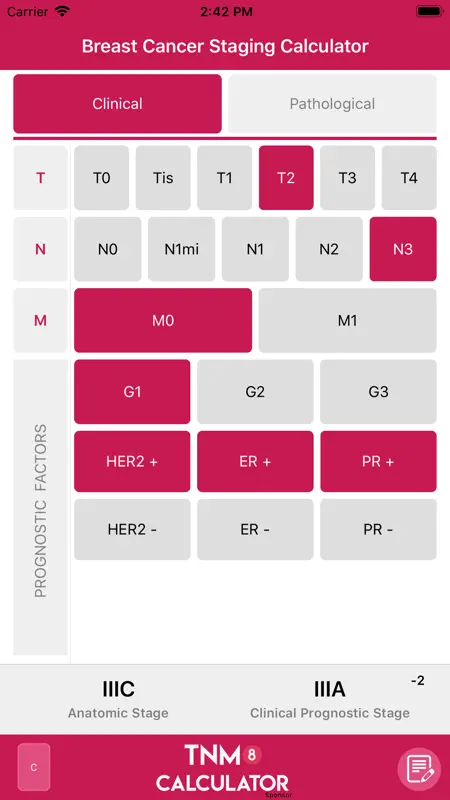 TNM8 Breast Cancer Calculator screenshot 2 of 5