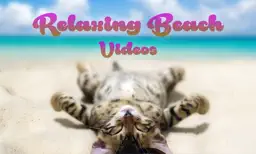 Relaxing Beach Videos — The best internet videos app icon