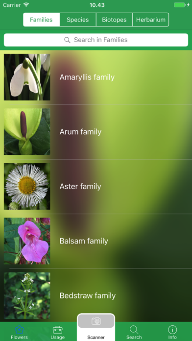 Mobile Flora - Wild Flowers Screenshot 4