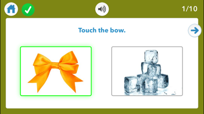Following Directions from ICDA Screenshot