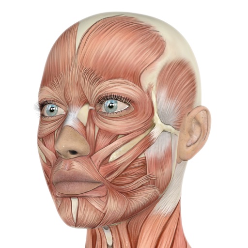 HumanAr Anatomy