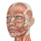 HumanAR Anatomy  is the go-to 3D anatomy reference app for healthcare professionals, students and related persons