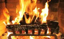 Fire Place TV app icon