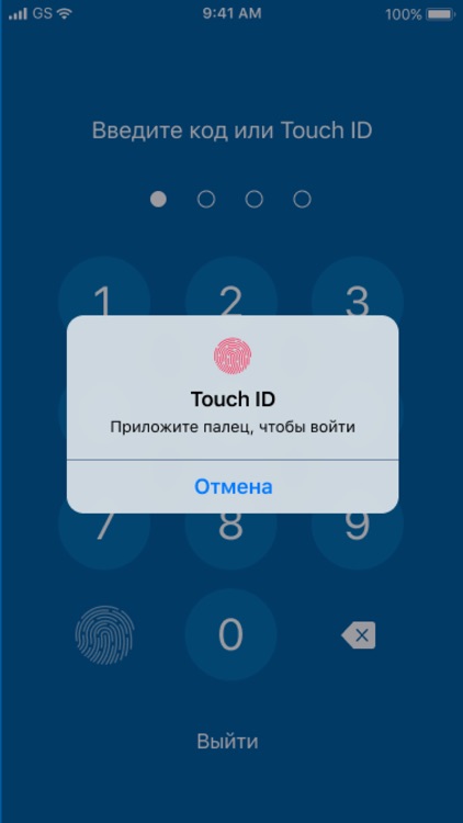Личный кабинет Астрал Отчет