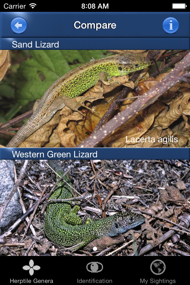 Reptile Id - UK Field Guide screenshot 3