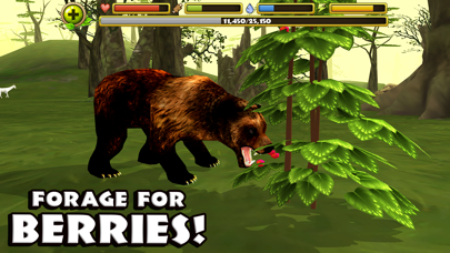 Wildlife Simulator: Bear screenshot 5