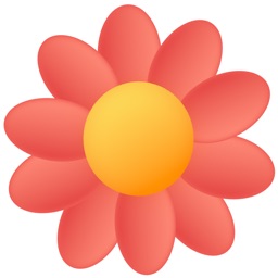 Real Flower Stickers