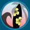 Hawaii Surf Reports provides accurate current daily surf details for approximately 250 surf locations around the islands and so much more