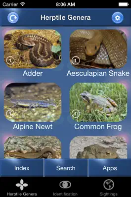 Game screenshot Reptile Id - UK Field Guide mod apk