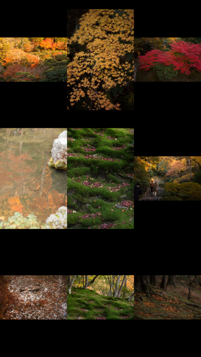 Screenshot #1 pour Flash Photos