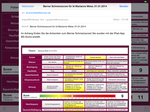Berner Schmerzscore screenshot 3