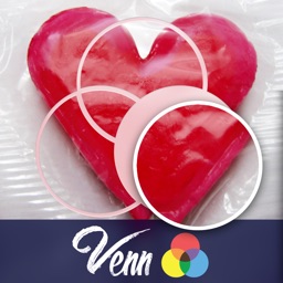 Venn Valentine's Day: Overlapping Jigsaw Puzzles