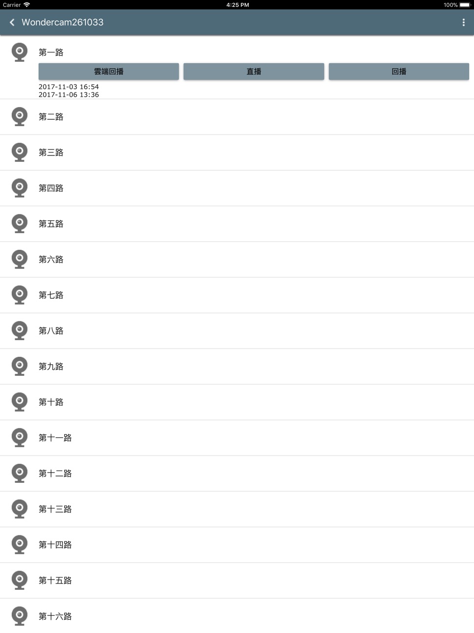 iPad screenshot