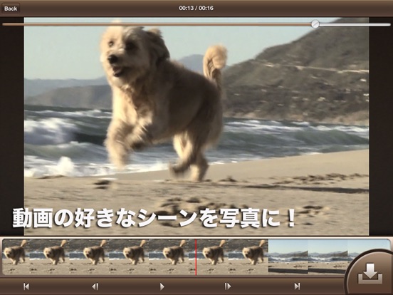 動画から瞬間を切り出す「MovieToImage」のおすすめ画像5