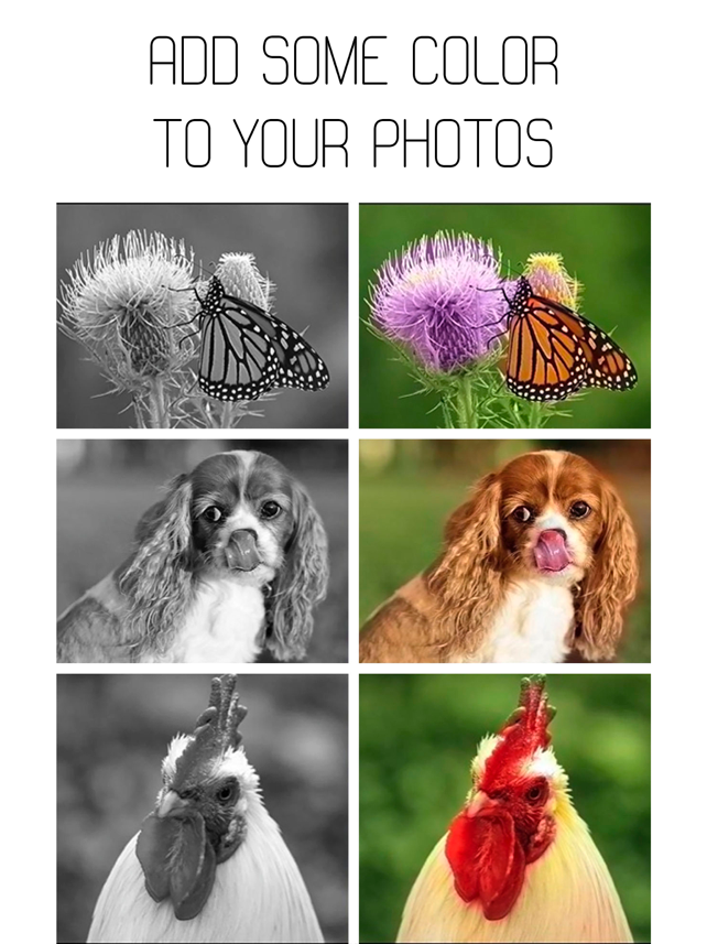 Colorize - Neural Network Screenshot
