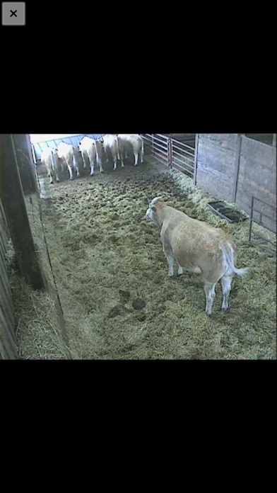 Screenshot #3 pour AgriCamera NG