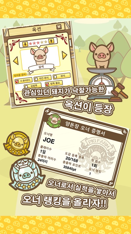 양돈장MIX screenshot-4