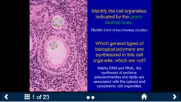 Game screenshot Histology - Basic Tissues apk