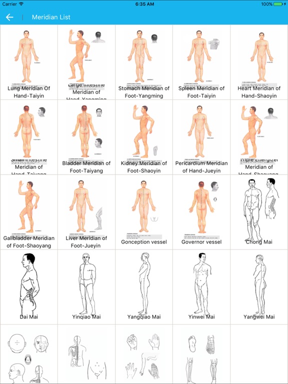 Meridian Acupoint Handbook HD iPad screenshot 1 - Medical app