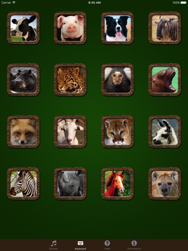 Animal Sounds.! on the App Store