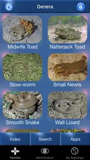 reptile id - uk field guide problems & solutions and troubleshooting guide - 1