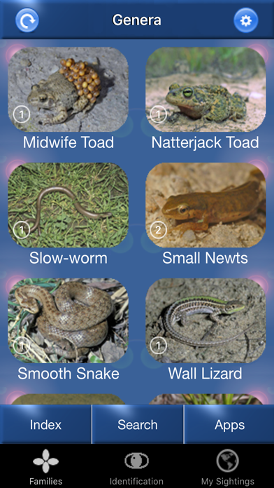 Screenshot #1 pour Reptile Id - UK Field Guide