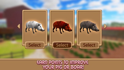 Life of House Pig Simulator screenshot 4