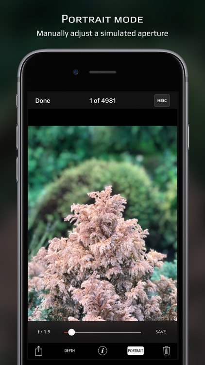 Chromatica camera screenshot-8