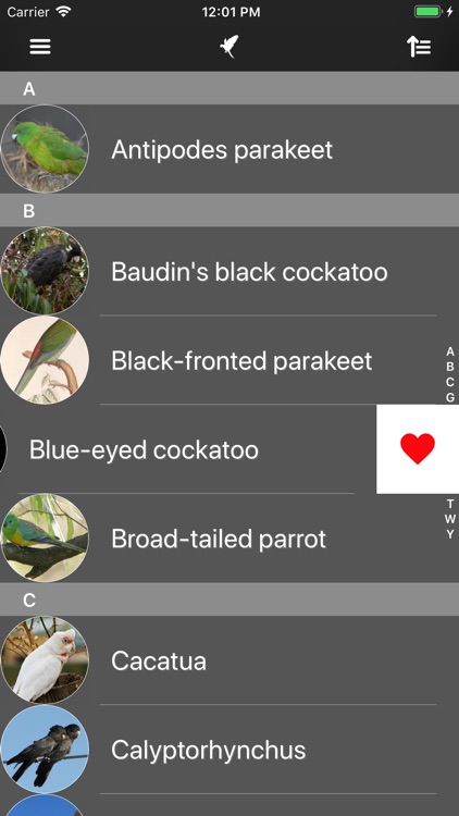 Parrots 2.0 screenshot-7