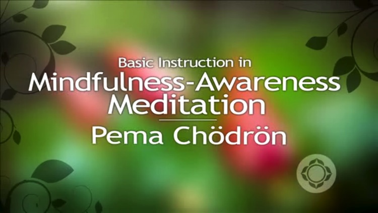 How to Meditate with Pema Chödrön screenshot-3