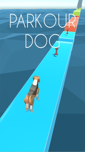 Parkour Dog