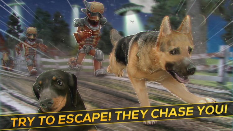 Hero Patrol: Puppy Farm
