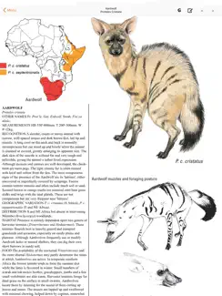 The Kingdon Guide iPad image 1