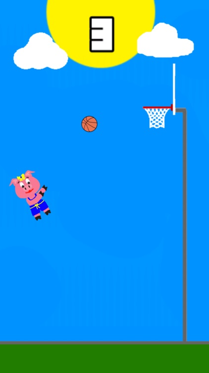 Molly Pig Basketball