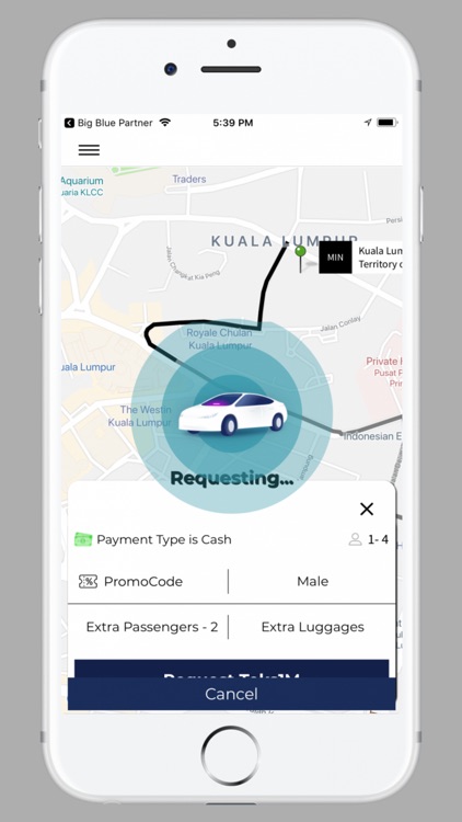 Big Blue Customer screenshot-4