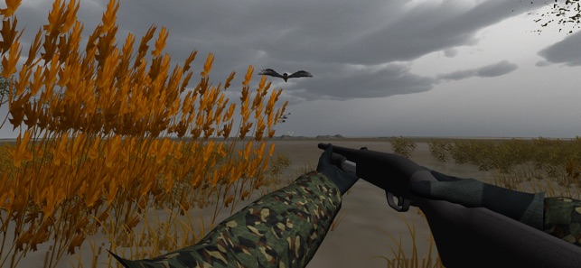 Duck Hunter Pro 3D