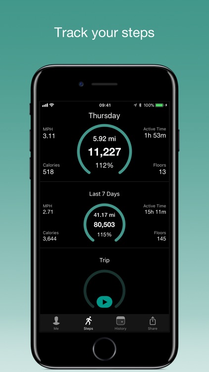 Stepwise Pedometer screenshot-0