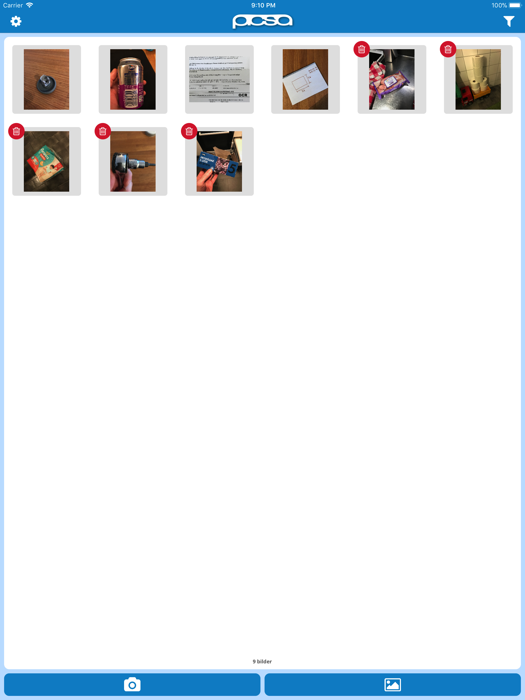 picsa