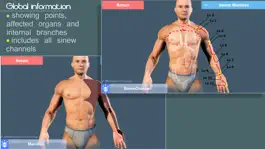Game screenshot Easy Acupuncture 3D -FULL hack