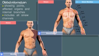 Easy Acupuncture 3D -FULLのおすすめ画像3