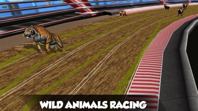 Crazy Real Dog Racing screenshot 2