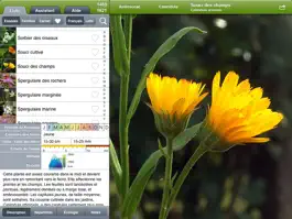 Game screenshot Fleurs en poche HD mod apk
