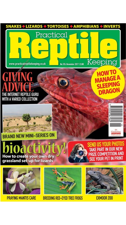 Practical Reptile Keeping screenshot-4