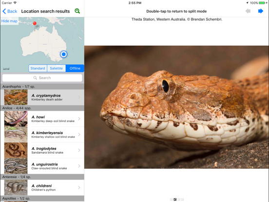 Snakes of Australia iPad screenshot 4 - Reference app