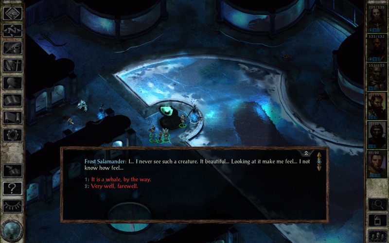 icewind dale: enhanced edition iphone screenshot 2