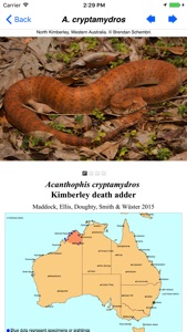 Snakes of Australia screenshot #2 for iPhone