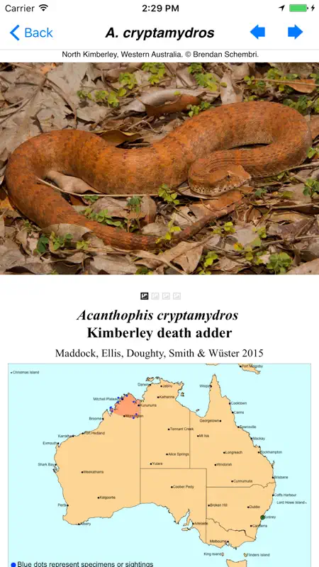 Snakes of Australia screenshot 2 of 5